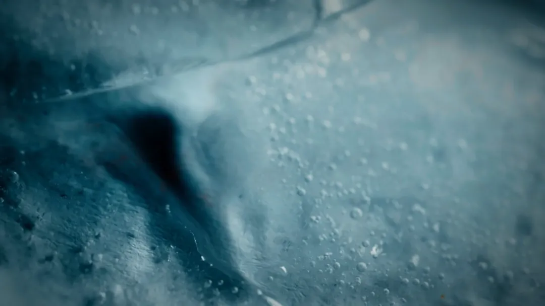 超震撼9.2分冒险纪录片《带你探索地球/探访超凡地球》！威尔史密斯：这是从未见过的世界...