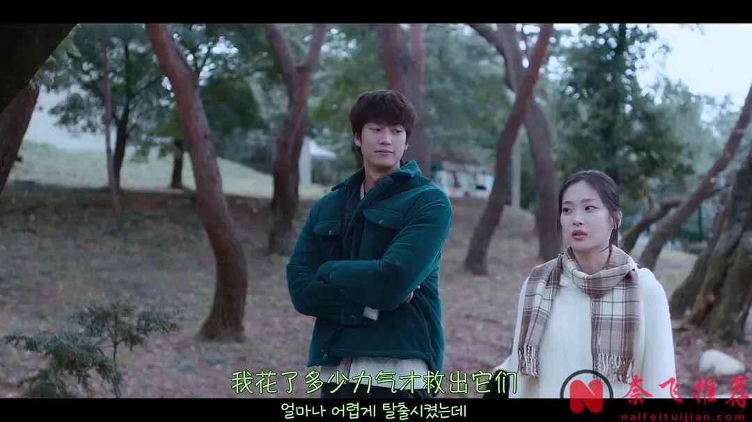 10部近期冷门韩剧，没有大制作也好看，入坑不亏的