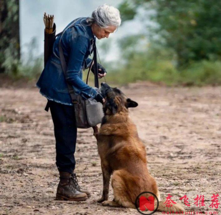 小七不幸走了，《行尸走肉/阴尸路/行尸》剧组集体哀悼