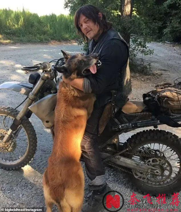 小七不幸走了，《行尸走肉/阴尸路/行尸》剧组集体哀悼