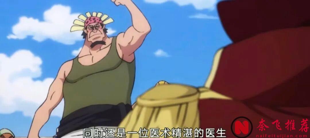 路飛邀請失敗，拒絕加入草帽團的13人！！