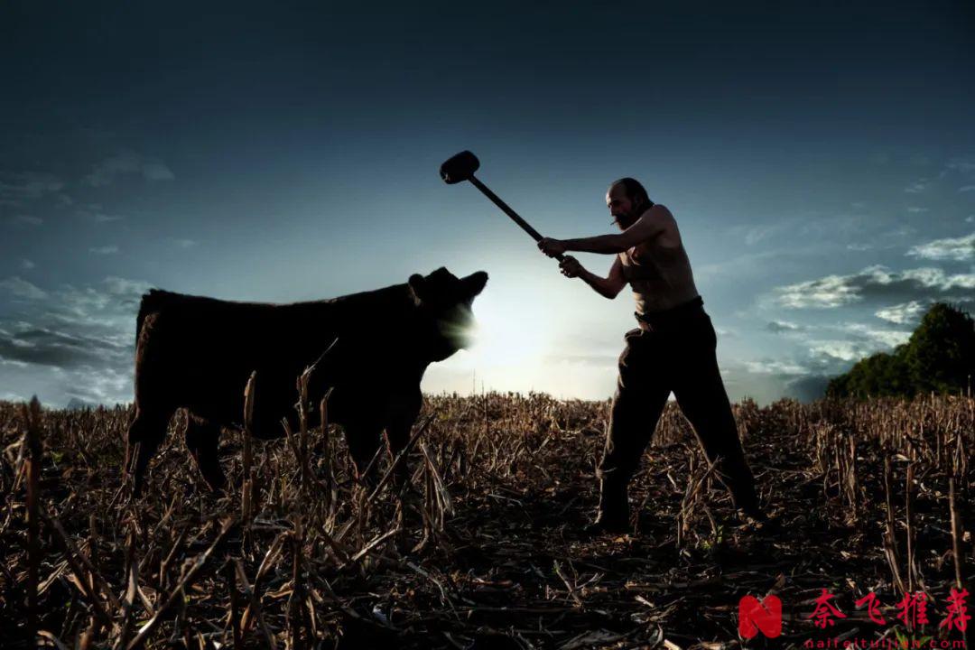 全程馬賽克，資深美劇迷必看的五部重口美劇推薦！