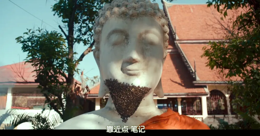 宗教、诈骗、禁忌恋！论敢拍，还得是Netflix！