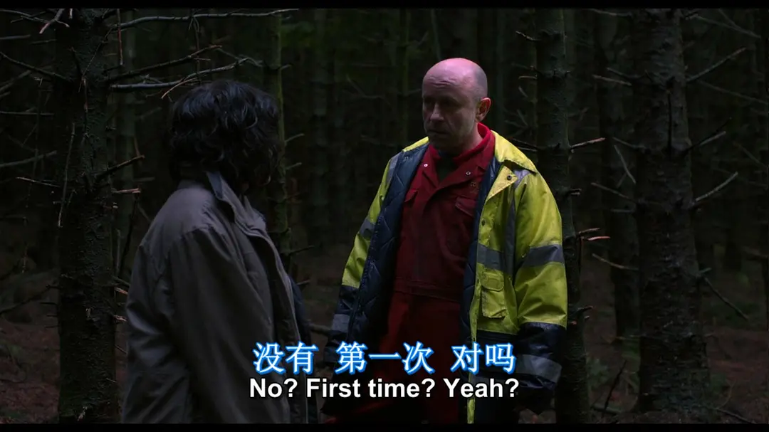 寡姐最大胆的演出，这部烂番茄84%却毁誉参半的cult片《皮囊之下/皮下之慌/肌肤之侵》让人不寒而栗