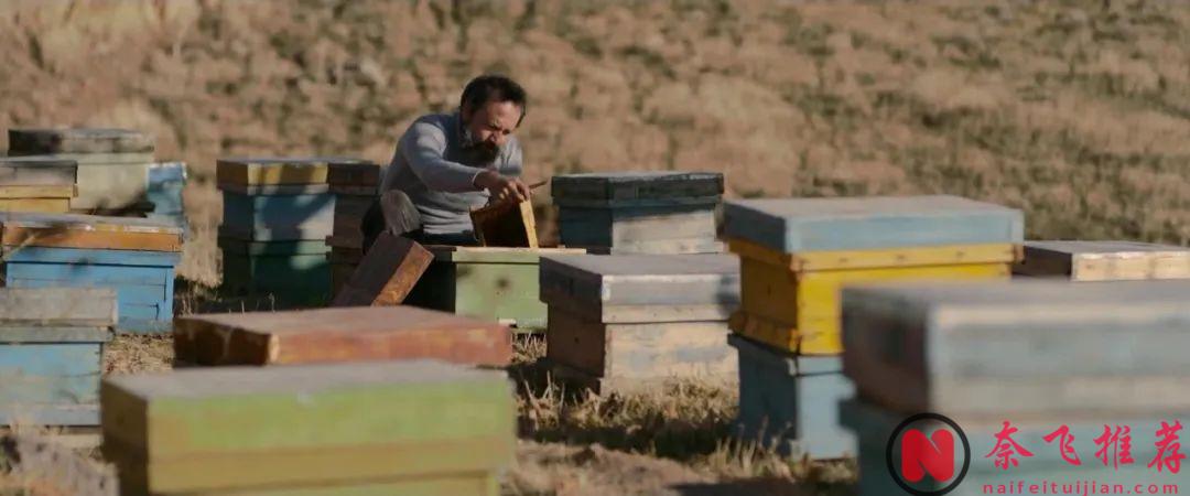 禁片之王《無邪/惡與他們的距離》迴歸，金熊獎實至名歸！