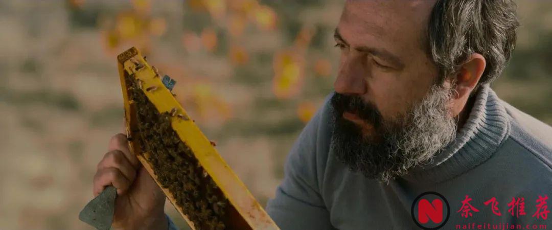 禁片之王《無邪/惡與他們的距離》迴歸，金熊獎實至名歸！