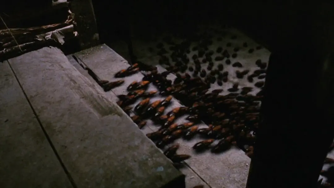 嗜血虫影来袭！五部惊悚之作，带你体验昆虫恐怖的致命诱惑