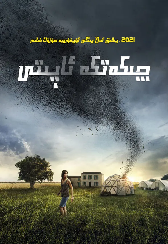 嗜血虫影来袭！五部惊悚之作，带你体验昆虫恐怖的致命诱惑