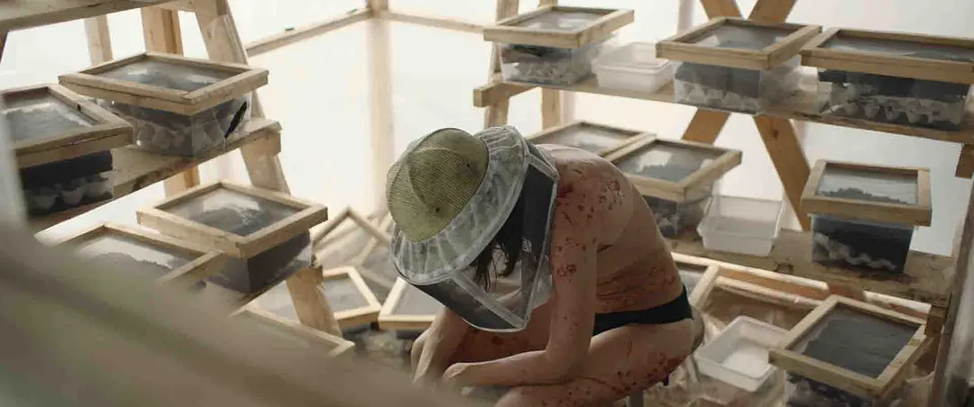 嗜血虫影来袭！五部惊悚之作，带你体验昆虫恐怖的致命诱惑