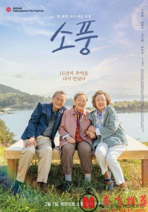 高分佳作，2024目前最值得看的五部韩影！