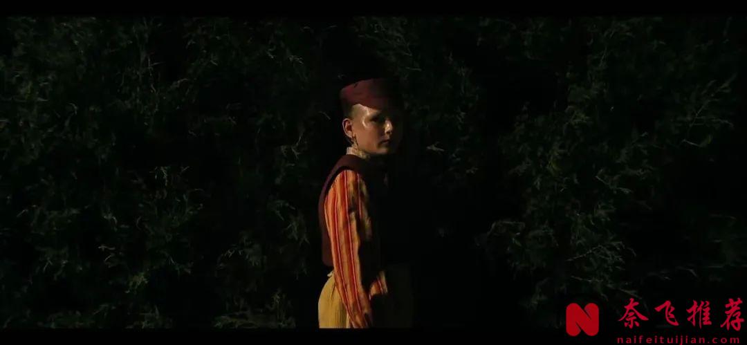 反轉再反轉！奧斯卡影后演技炸裂，這部電影《荷蘭鎮》全程高能！