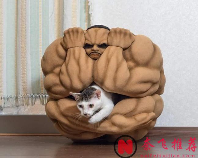 动漫官方集体发疯？这些离谱周边，看完我整个人傻了