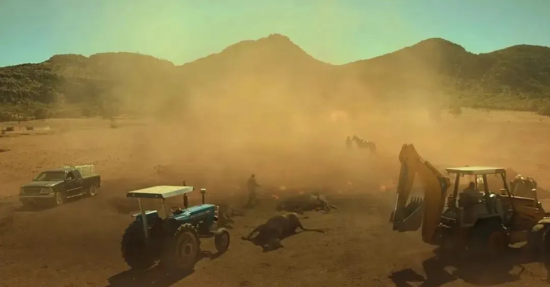 警察的一次误判，导致整个小镇遭屠杀。墨西哥剧《我们就是如此》绝对是一部被低估的佳作！