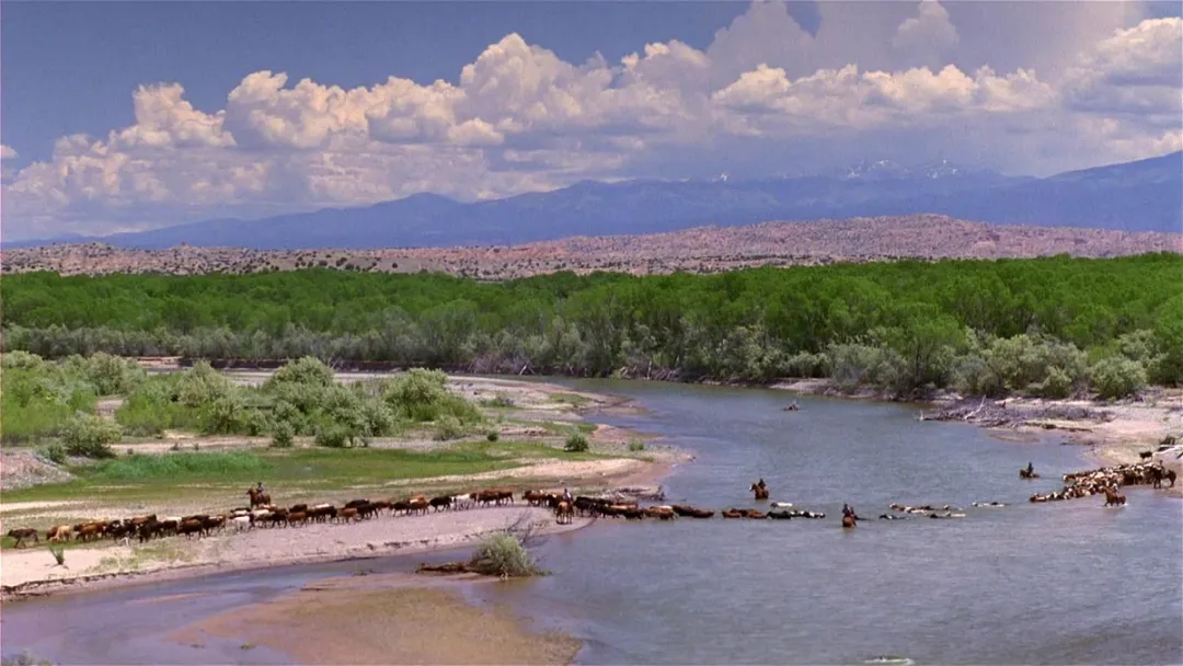 9.5分西部冒險神劇《孤鴿鎮/寂寞之鴿》，細緻全面的展示了白人視角蠻荒殘忍的西部！