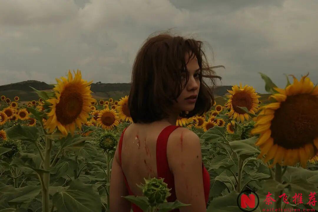 全网都在刷的Netflix新剧《纯真博物馆》，把禁忌恋拍出了新高度