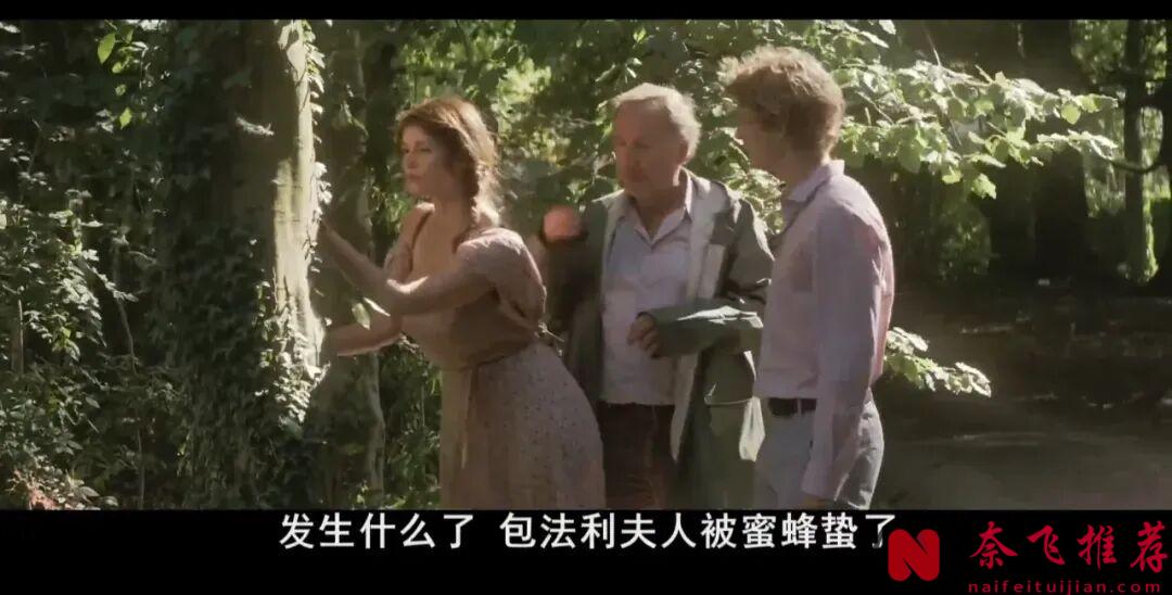 小成本電影《包法利夫人》下料更猛，法國導演真是鬼才，結局妙極了