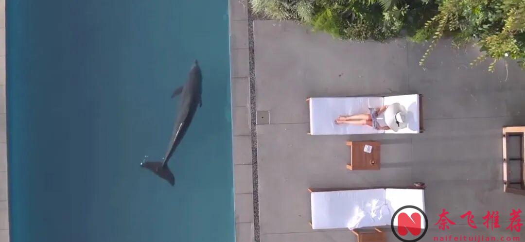 将情侣生活在元宇宙里是爱情的高级玩法吗？HBO优质科幻剧：爱芯/爱的超级晶片