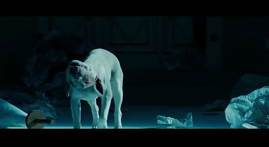 基因诅咒与东方灵异元素结合的恐怖片《婴灵恶泣》，典型的美式恐怖片！