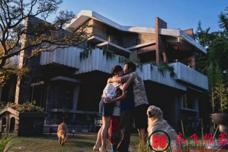 今年（2025年年末总结）还不错的韩国电影，只有这6部！