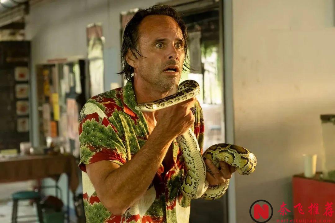 熱播劇《白蓮花度假村/白蓮花大飯店(臺)/白蓮會(港)》（The White Lotus）第3季中被蛇咬的原來是他！