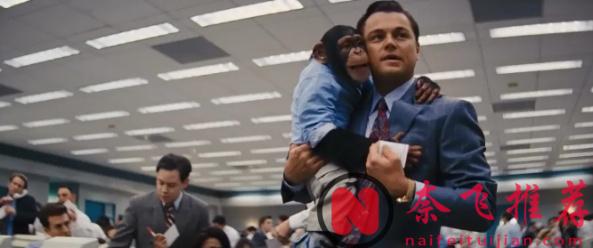 這才叫狼性文化，這R級猛片《華爾街之狼 / 華爾街狼人》荒誕又現實