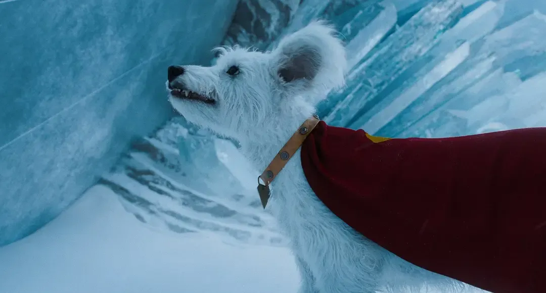 这个月5部神作即将回归，依旧是年度王炸，太过瘾了！