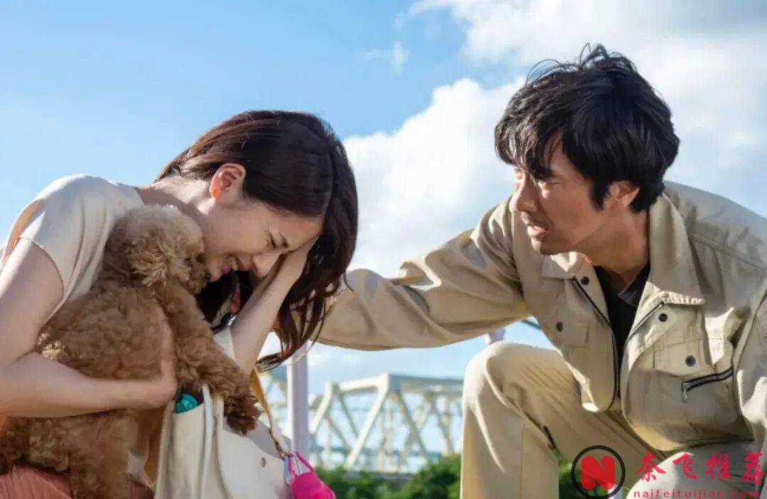 Netflix 藝術向禁忌不倫劇！這部日本18禁漫改劇《金魚妻》，尺度大膽到全員出軌