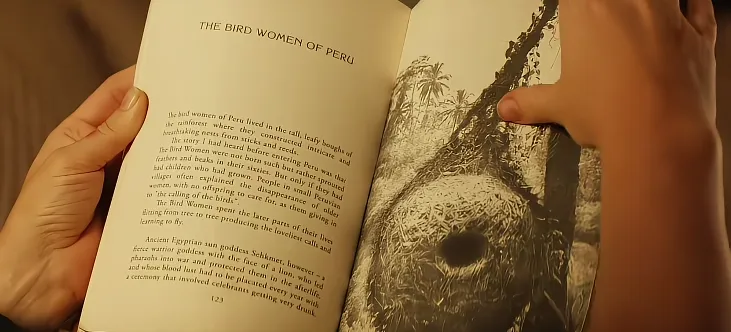 2024最新美国恐怖片《夜母》，被誉为“最疯狂”的女性电影，剧情简直太颠，震惊你的三观!!!