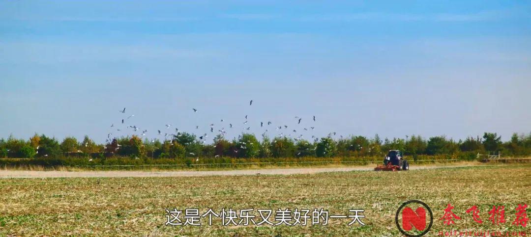 风云人物转战农民行业，简直是种地人的天花板！