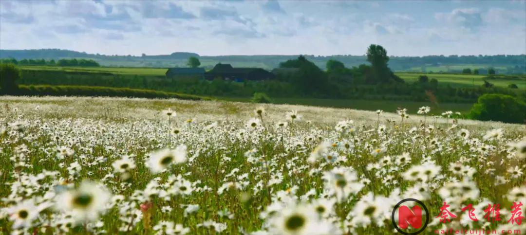 风云人物转战农民行业，简直是种地人的天花板！