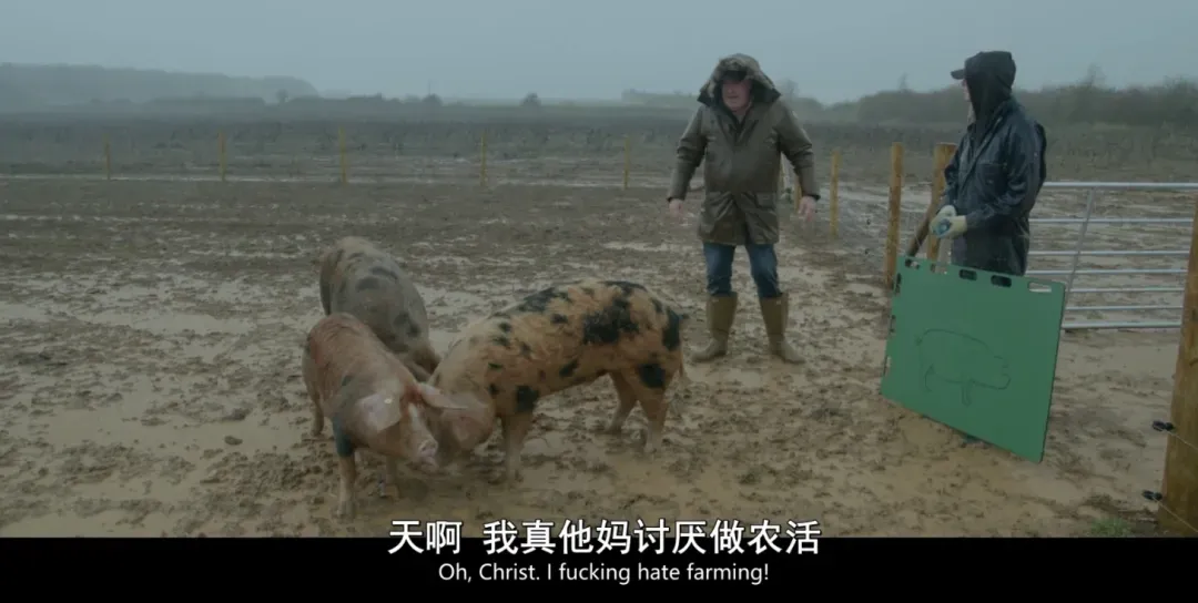 连续3季9.6分神作，全球观众都在看他笑话