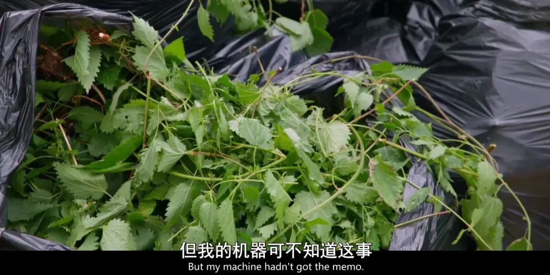 连续3季9.6分神作，全球观众都在看他笑话