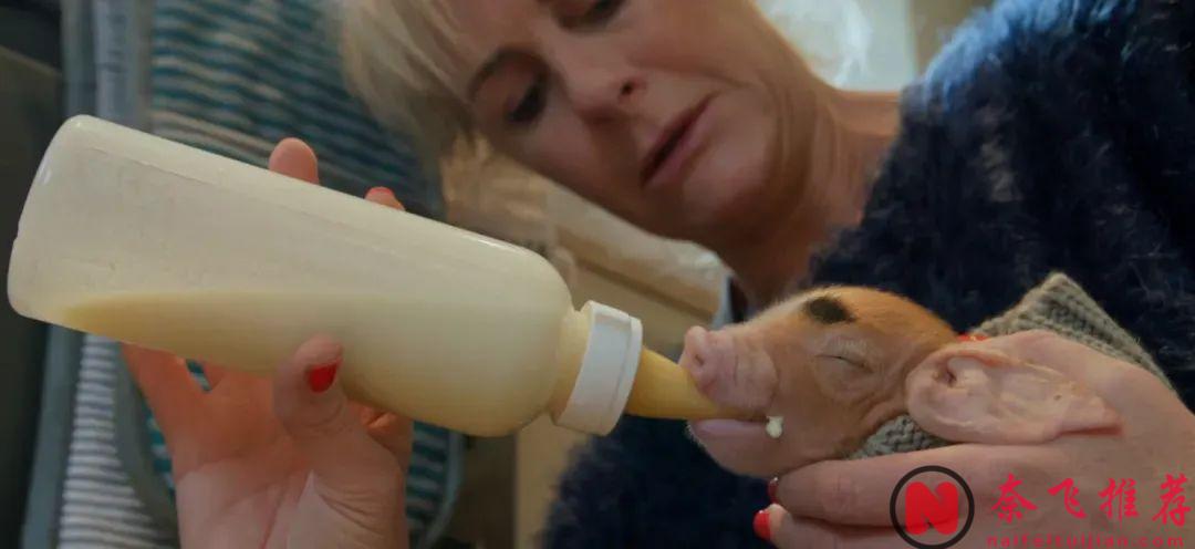 连续3季9.6分神作，全球观众都在看他笑话