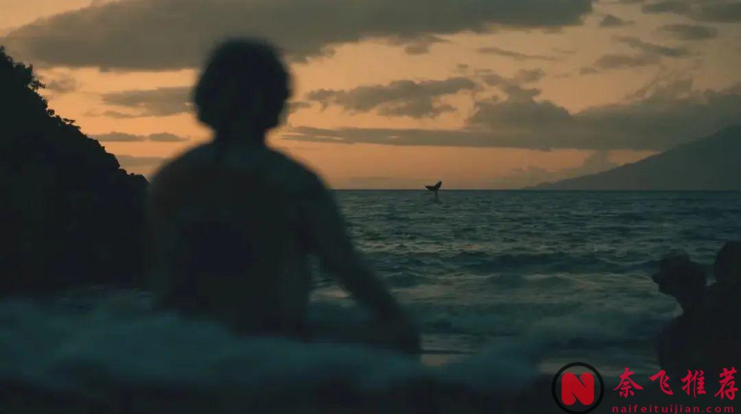 HBO黑色喜剧《白莲花度假村/白莲花大饭店/白莲会》，豪华度假村也有人情冷暖！