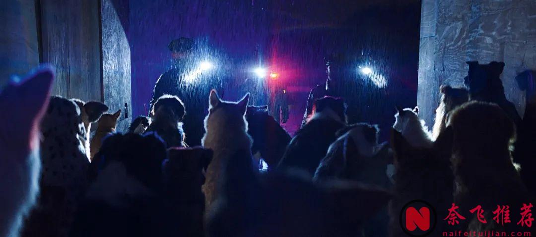 2024年度《时代周刊》十佳电影！