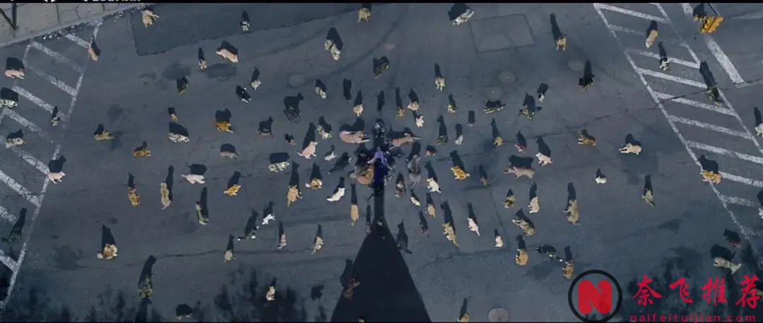 2024年度《时代周刊》十佳电影！