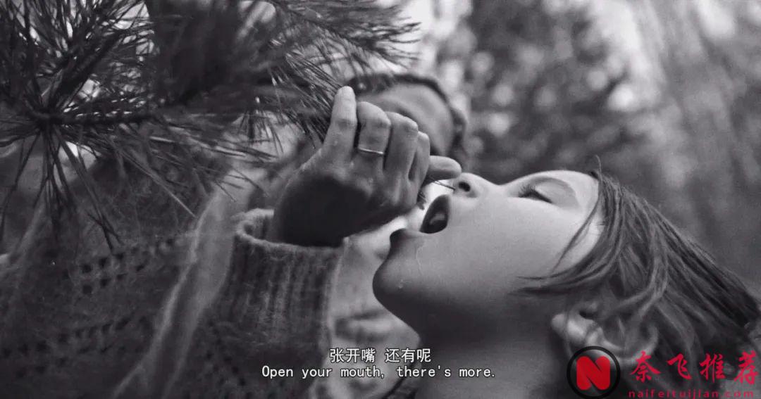 2024年度《时代周刊》十佳电影！