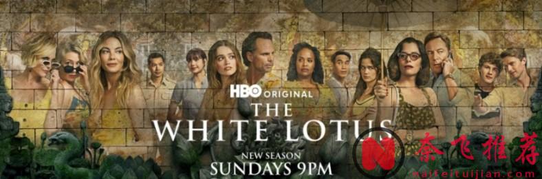 HBO尺度神劇《白蓮花度假村/白蓮花大飯店/白蓮會》終於完結，這場謀殺與金錢的黑色童話，仍值得觀眾期待~