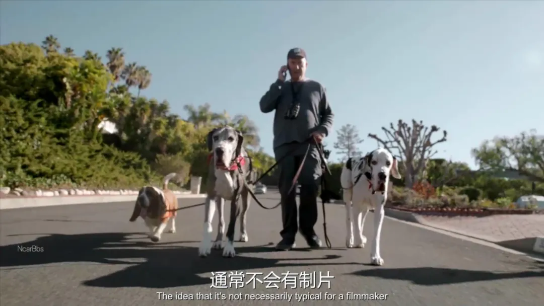 HBO出品，9.1分续作《纽约灾星》第二季来袭