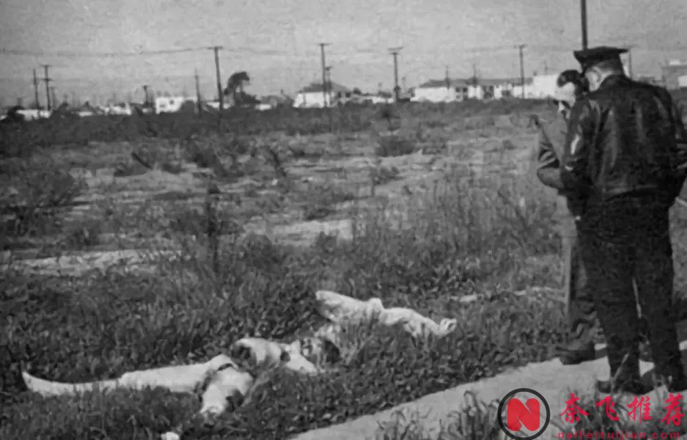 最變態懸案改編美劇《我即黑夜》，膽小勿入！