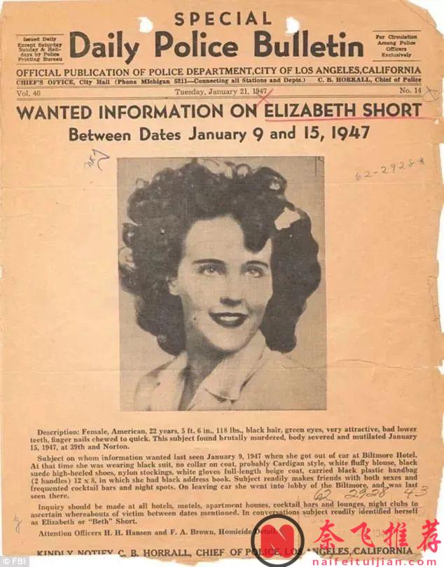 最變態懸案改編美劇《我即黑夜》，膽小勿入！