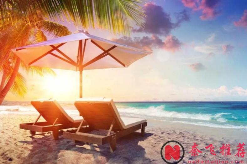 處男、處女大集結，歐美戀綜又來刷底線！《殭屍校園》延期這麼久？