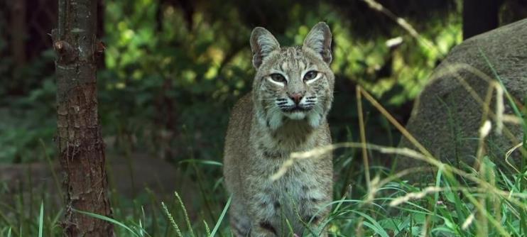 成年人專屬生猛劇，少兒不宜觀看