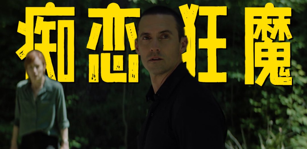Netflix 剧集《我会找到你》剧评:八集反转不断的下饭悬疑短剧
