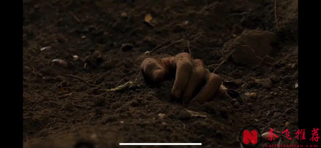 一個莊園，各懷鬼胎，這部劇《翡冷翠十日談》好顛，好顛！