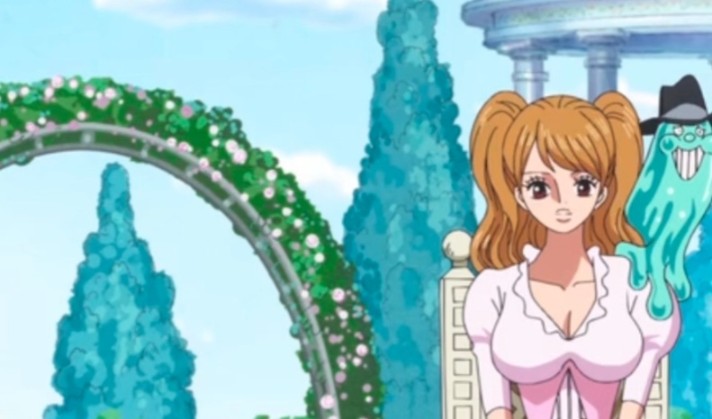 海賊王：新時代具有潛力的四位美女，其中一位還被人捆綁折磨