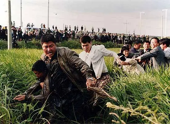 5部撕開人性暗麵的真實罪案電影，每一幀都刻著現實的傷疤