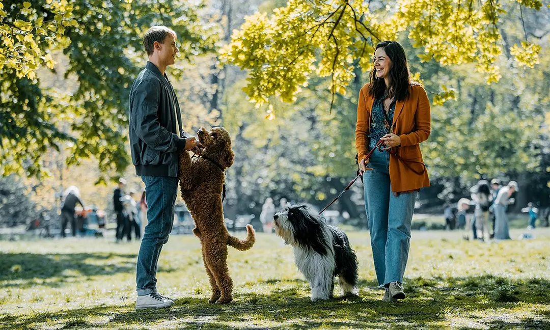 Netflix 7月最全 24+ 片單推薦，持續更新中