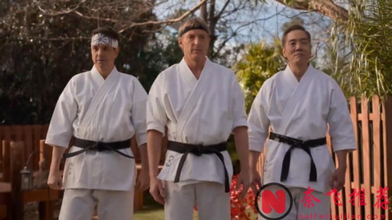 Netflix 超高人气美剧《眼镜蛇》第六季（最终季）回归，第五集IMDB直接飙到9.0分