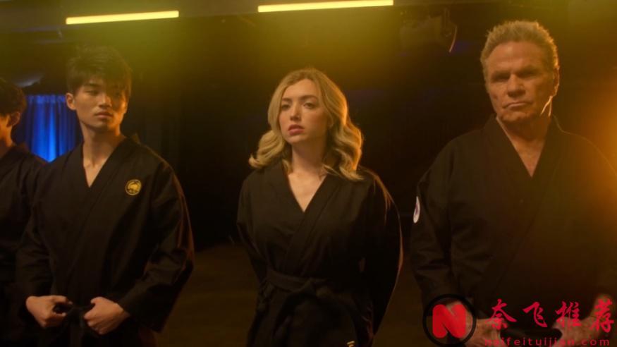 Netflix 超高人气美剧《眼镜蛇》第六季（最终季）回归，第五集IMDB直接飙到9.0分